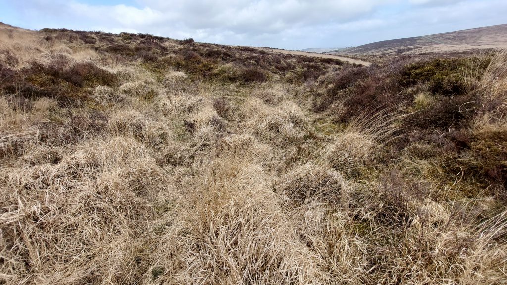 15b. Tinners Reservoir 2