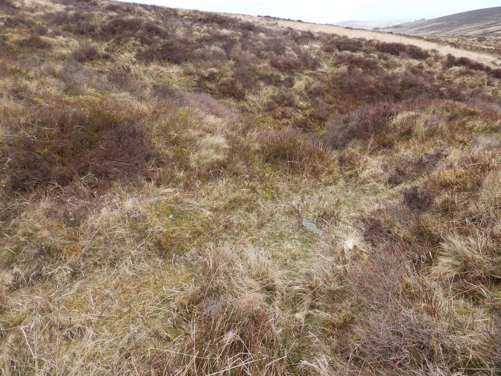 15d. Tinners Reservoir 2