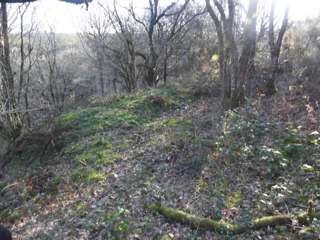 16a. Medieval Reservoir