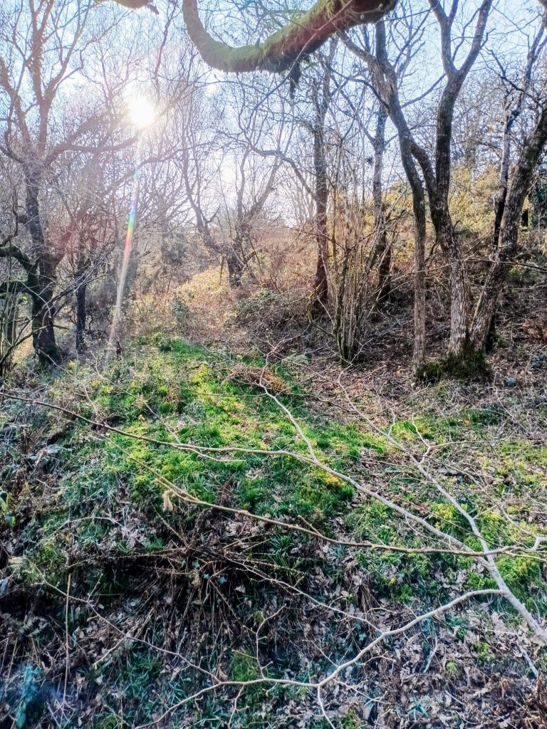 16c. Medieval Reservoir