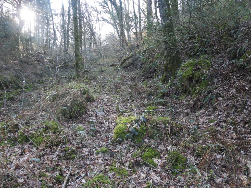 17. Near bottom of Tramway a