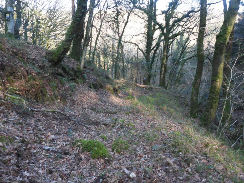 17. Near bottom of Tramway b