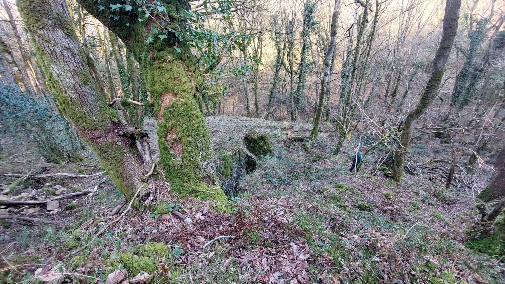 17. Wheelhouse and Dressing Floor