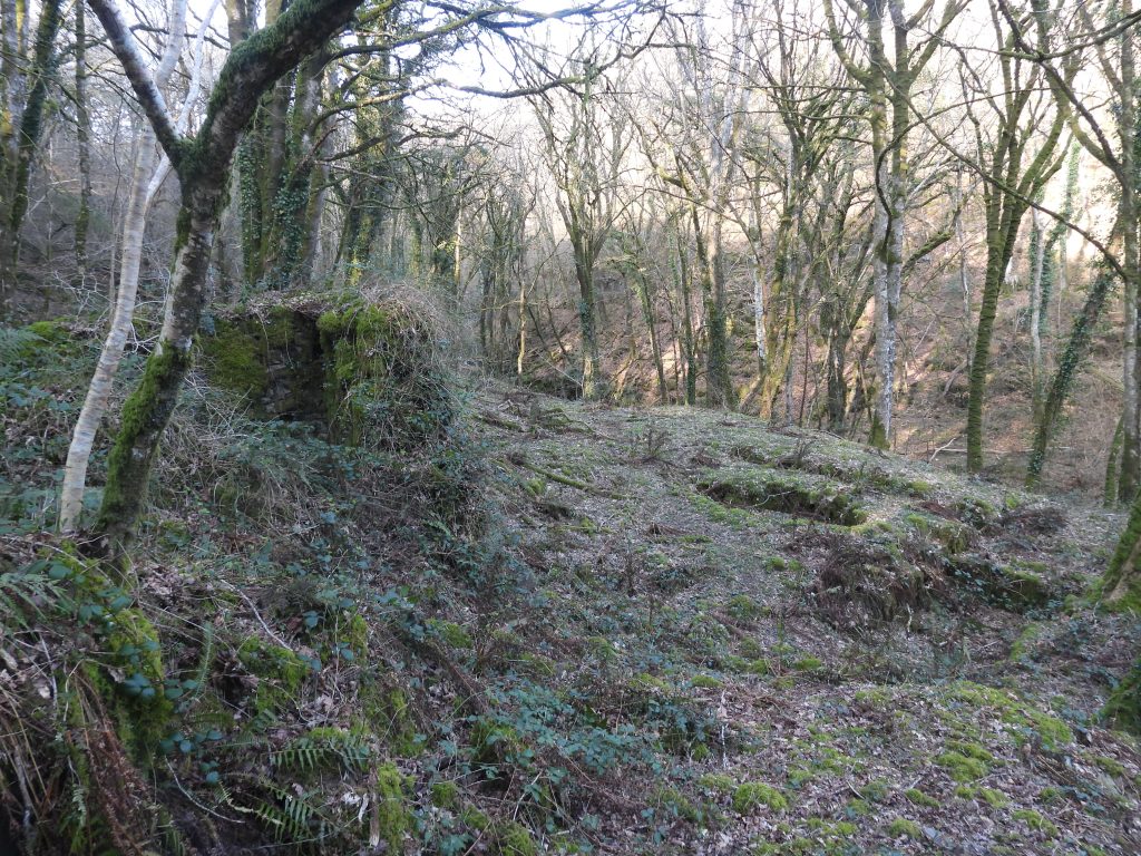 19b. Overlooking Dressing Floor