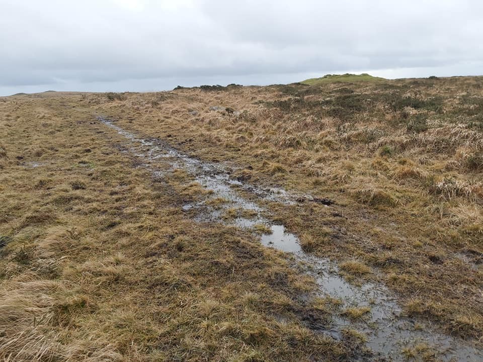 1a. Racecourse SX65710 59434