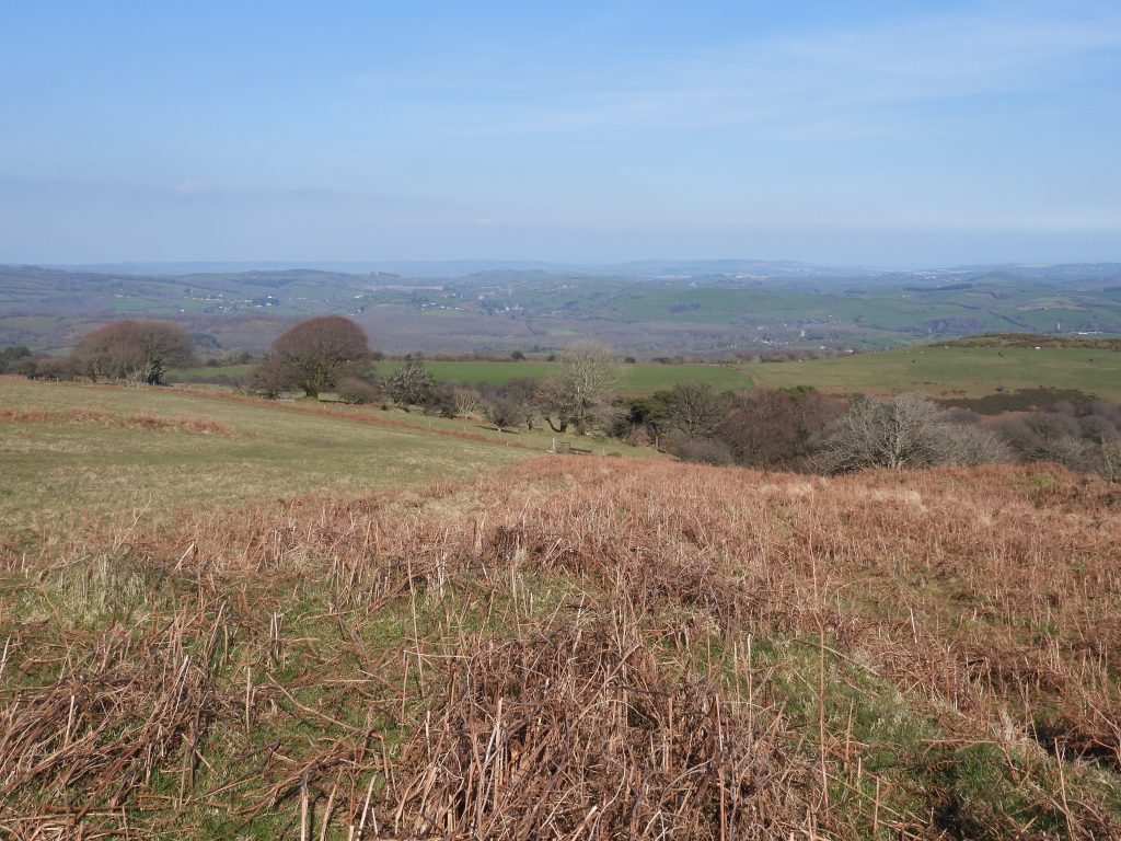 1b. Mound and Tramway