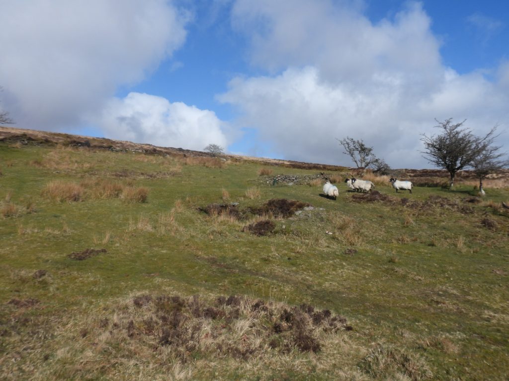 22. Bawdens Bungalow a