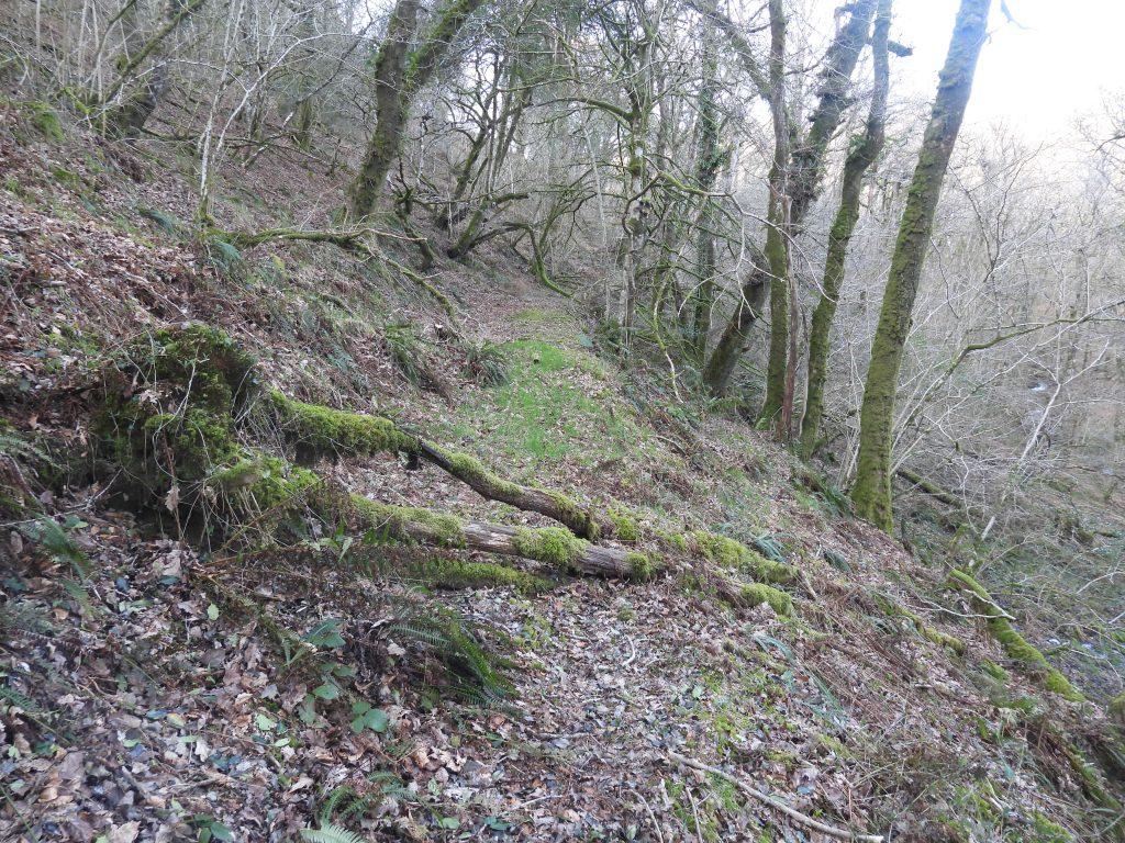 23. Leat from the east