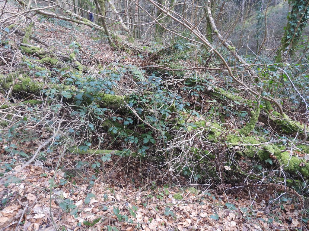 32. Adit on south side of Dean Burn