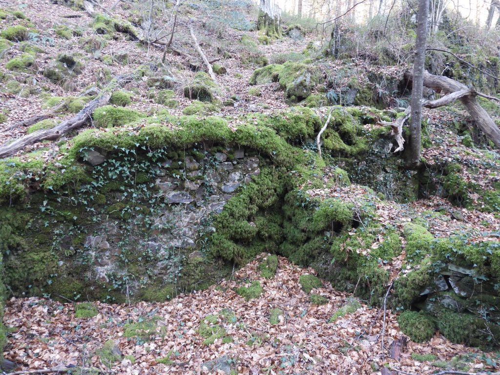 33b. House and Office