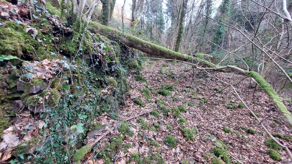 33d. House and Office