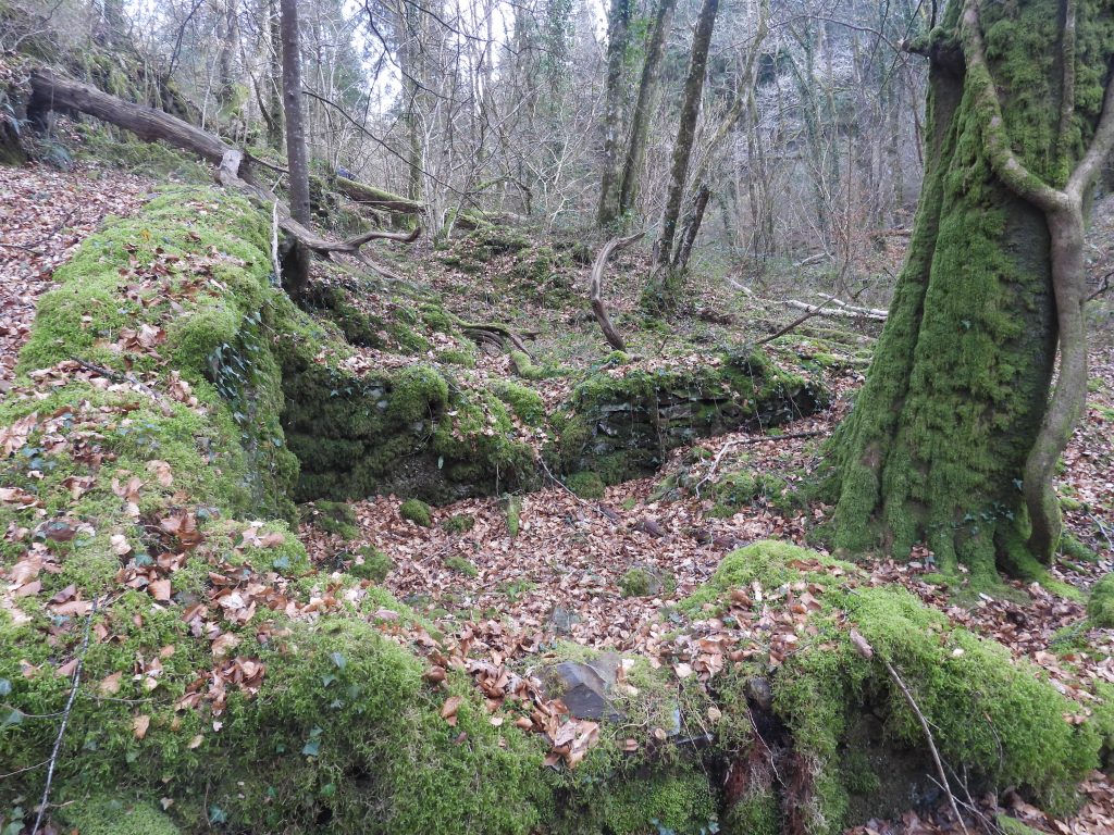 33f. House and Office