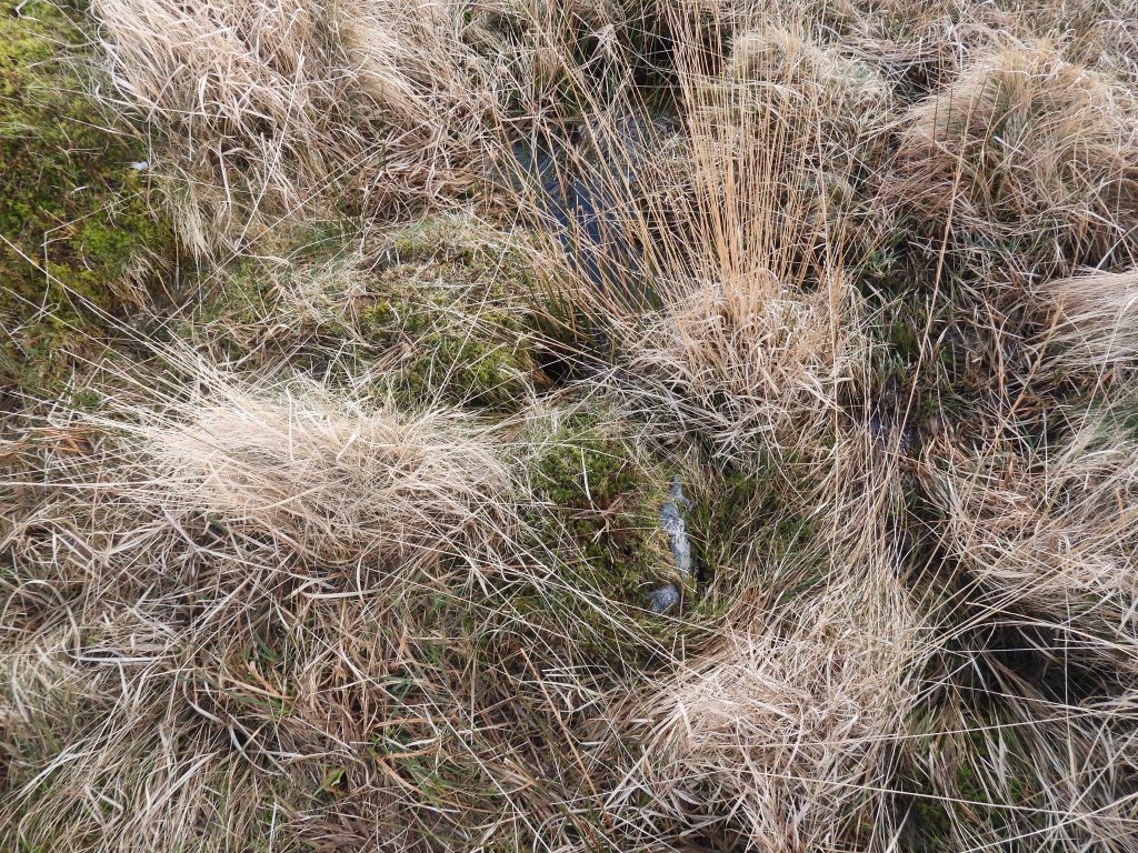 35d. Reservoir 8 - Sluice