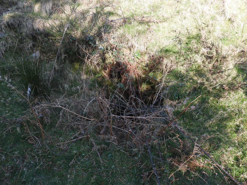 3b. Adit exit Williams Shaft