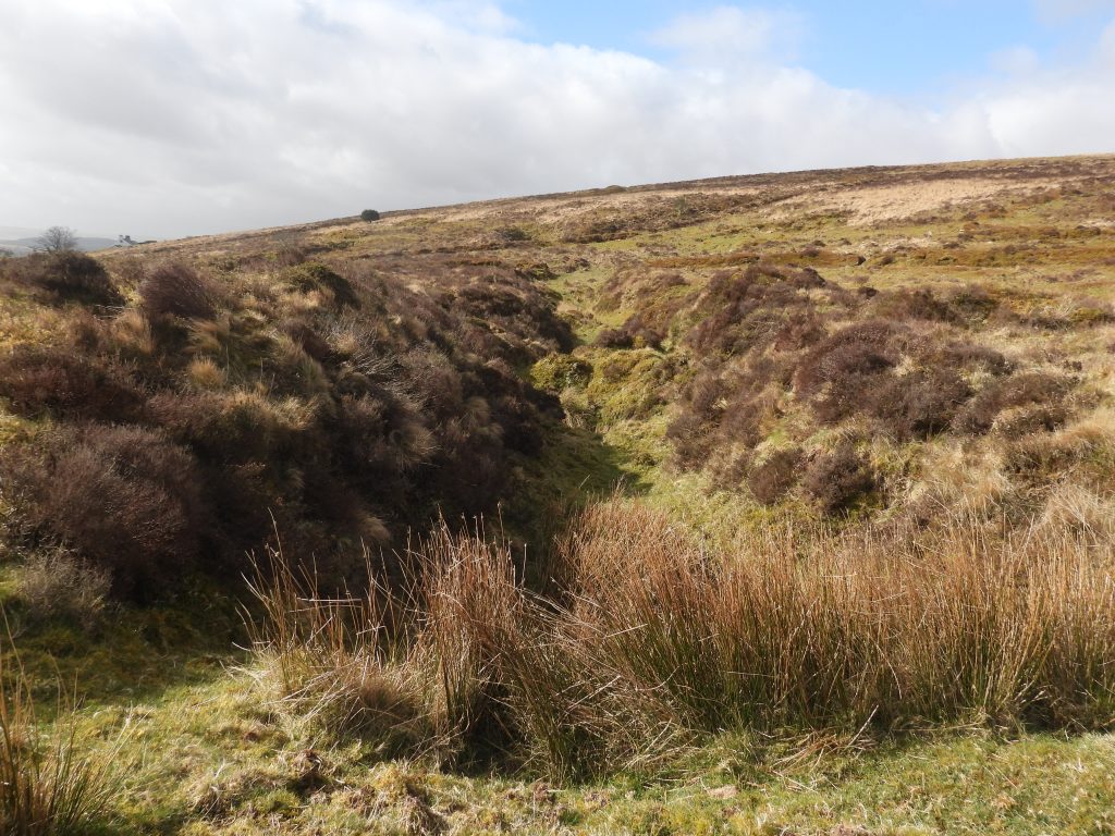 3b. Openwork A (west)