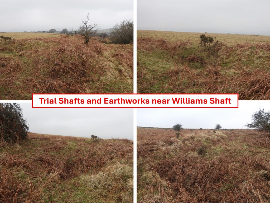 4. Trial Shafts and Earthworks