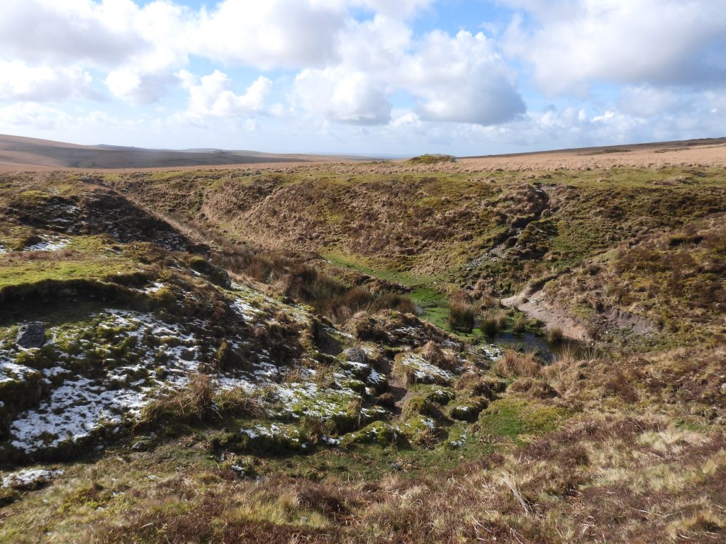 47c. Openwork H - Spring