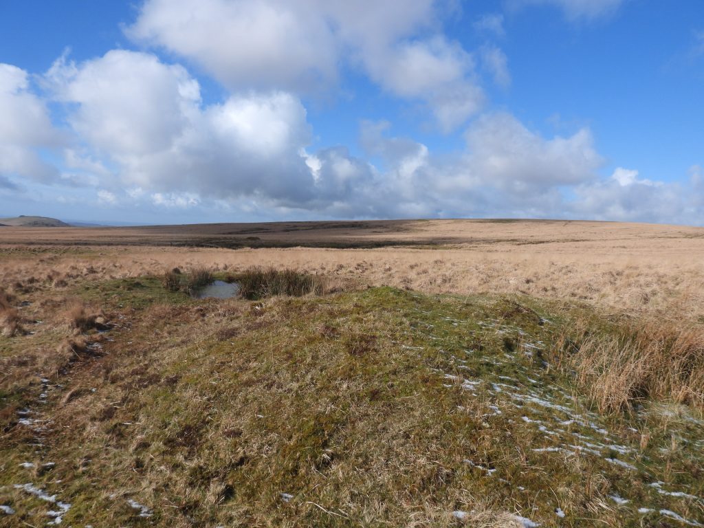 50a. Shafts by Openworks H