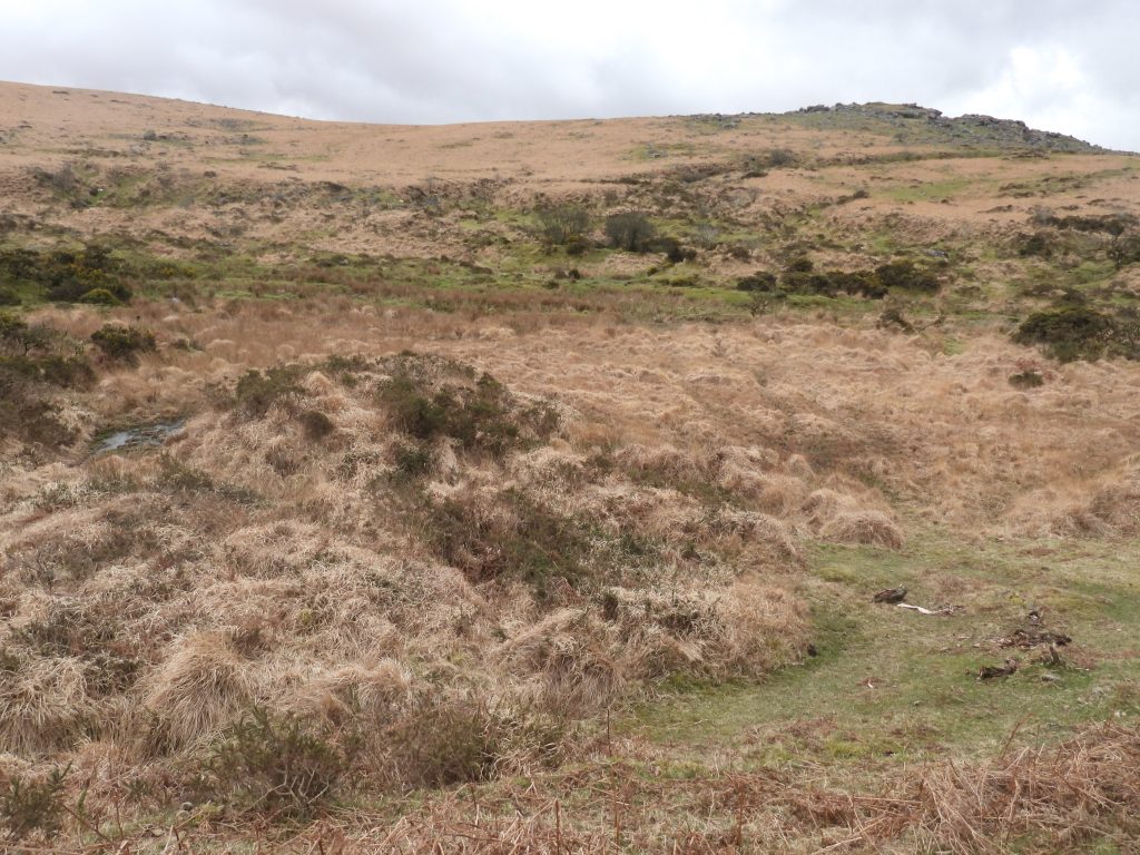 5a. Mound or Building