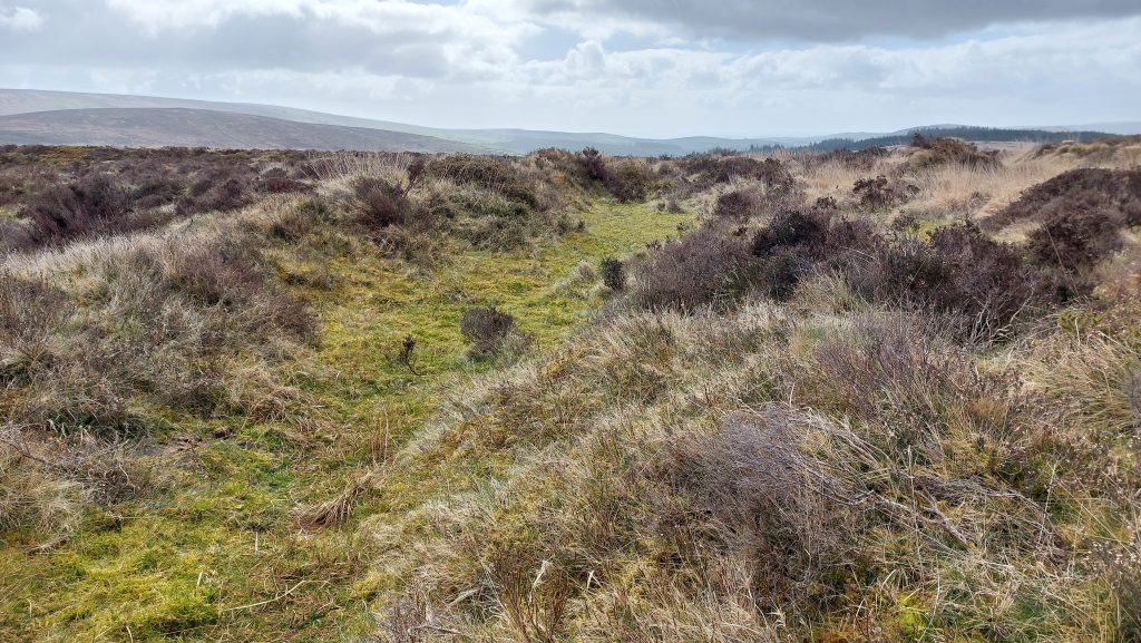 5a. Tinners Reservoir 1