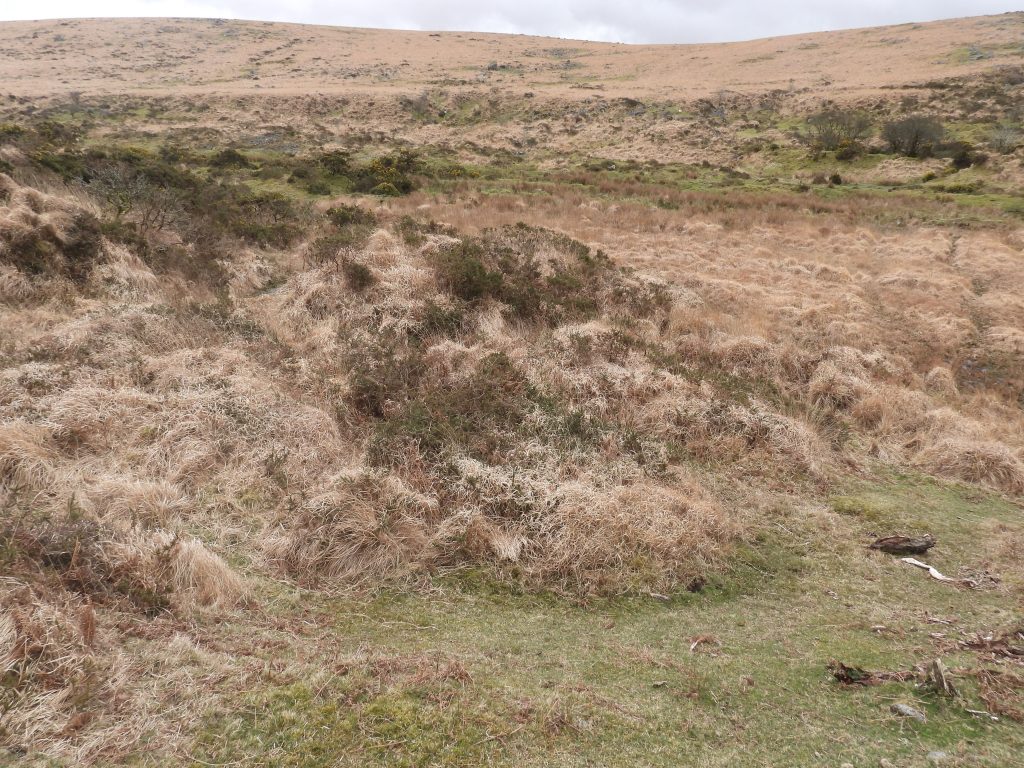 5b. Mound or Building