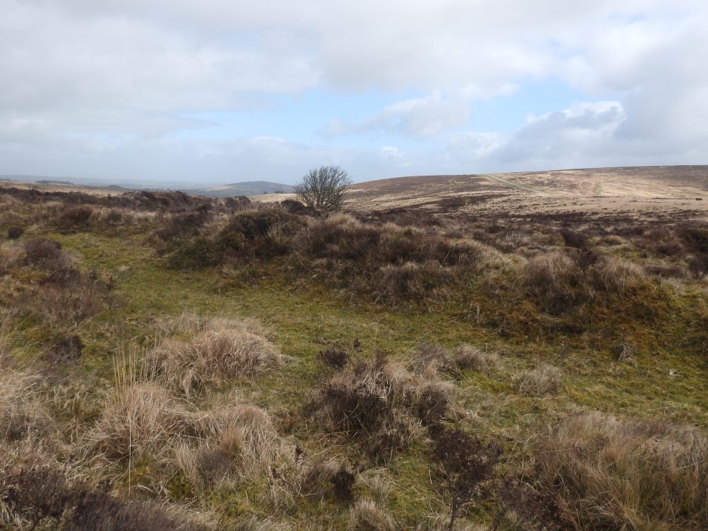 5c. Tinners Reservoir 1