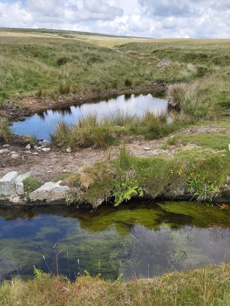 66a. Pool near Devonport Leat
