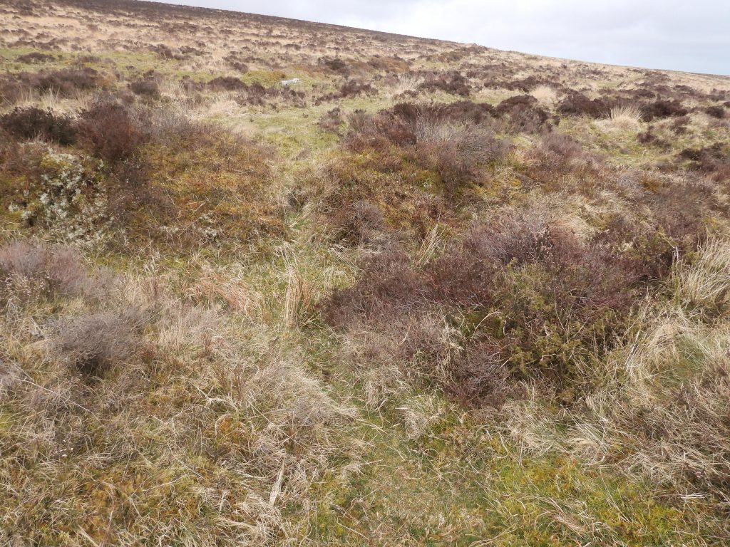 6a. Sluice into Openwork