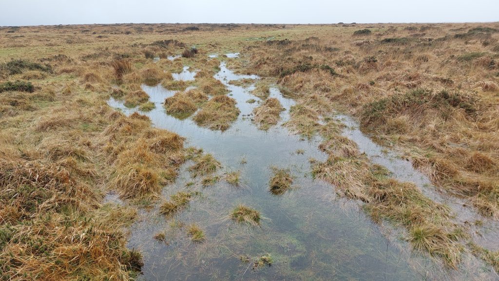 6a. Tinners Reservoir