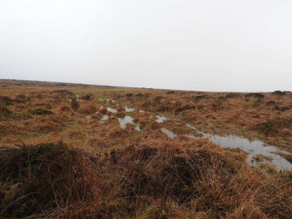 6c. Tinners Reservoir