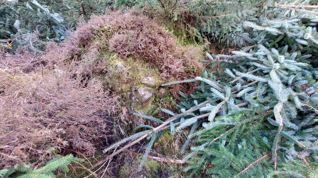 7. Walling at SX68417 79918