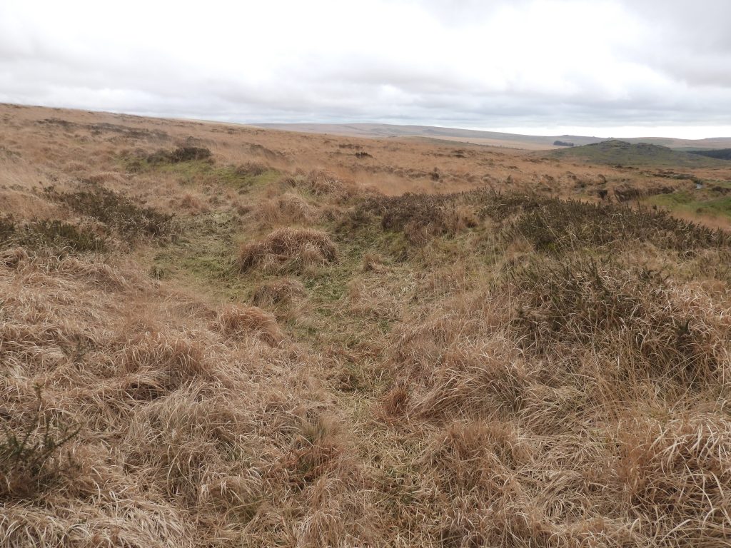 7a. Reservoir 3 at SX58198 70781