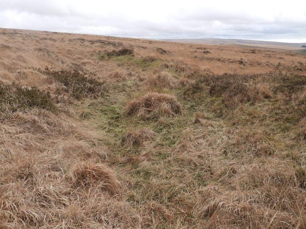 7b. Reservoir 3 at SX58198 70781