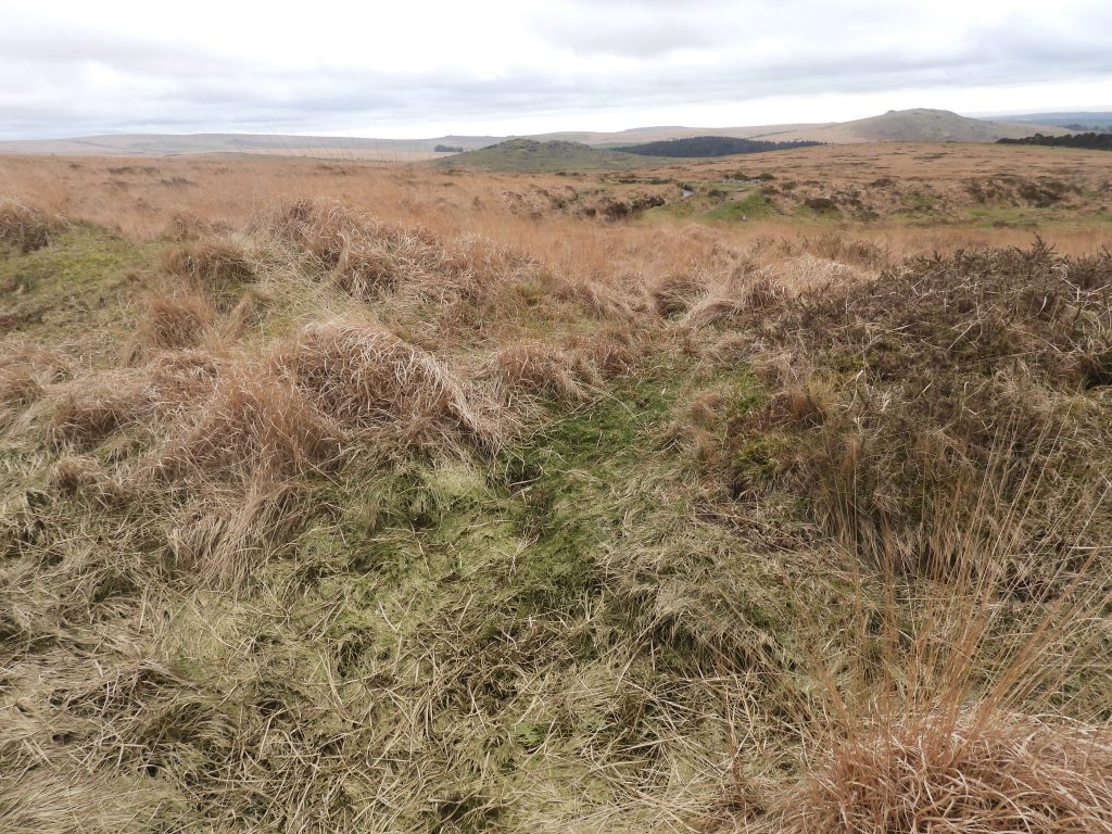 7c. Reservoir 3 at SX58198 70781