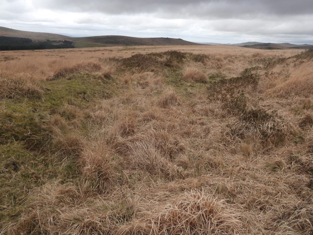 7d. Reservoir 3 at SX58198 70781