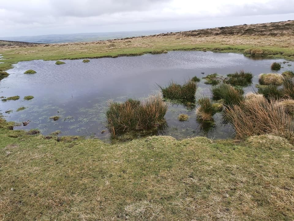 8. Butterdon Sacred Pool