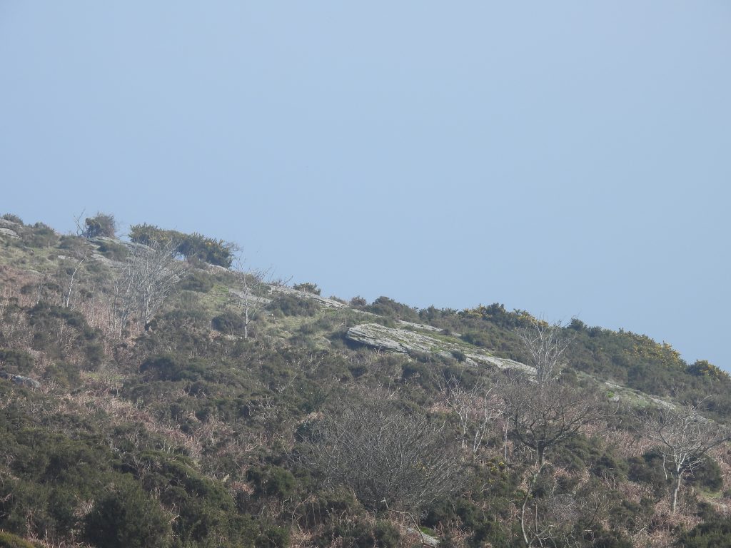 8. Pinchaford Ball Tor a