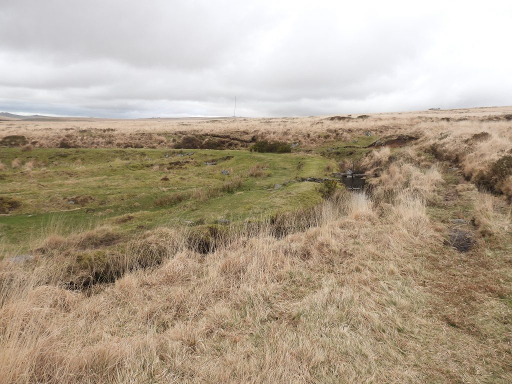 8a. Devonport Leat near Reservoir 3