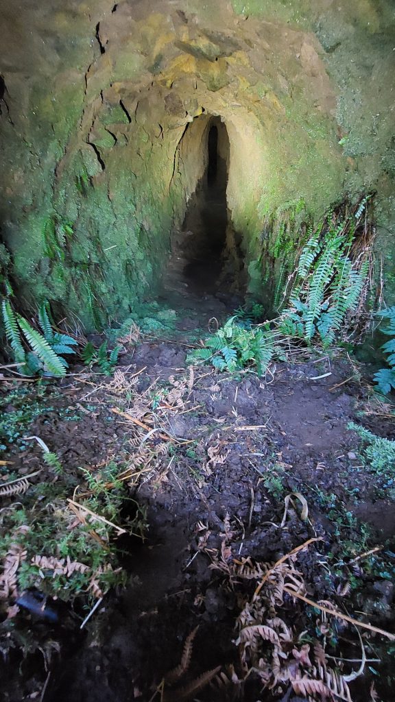 8a. Inside the Upper adit