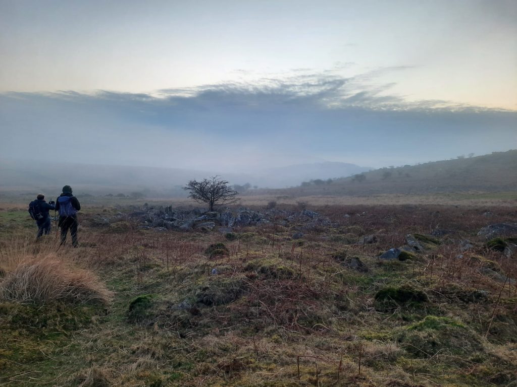 9. Copythorne Rushes a