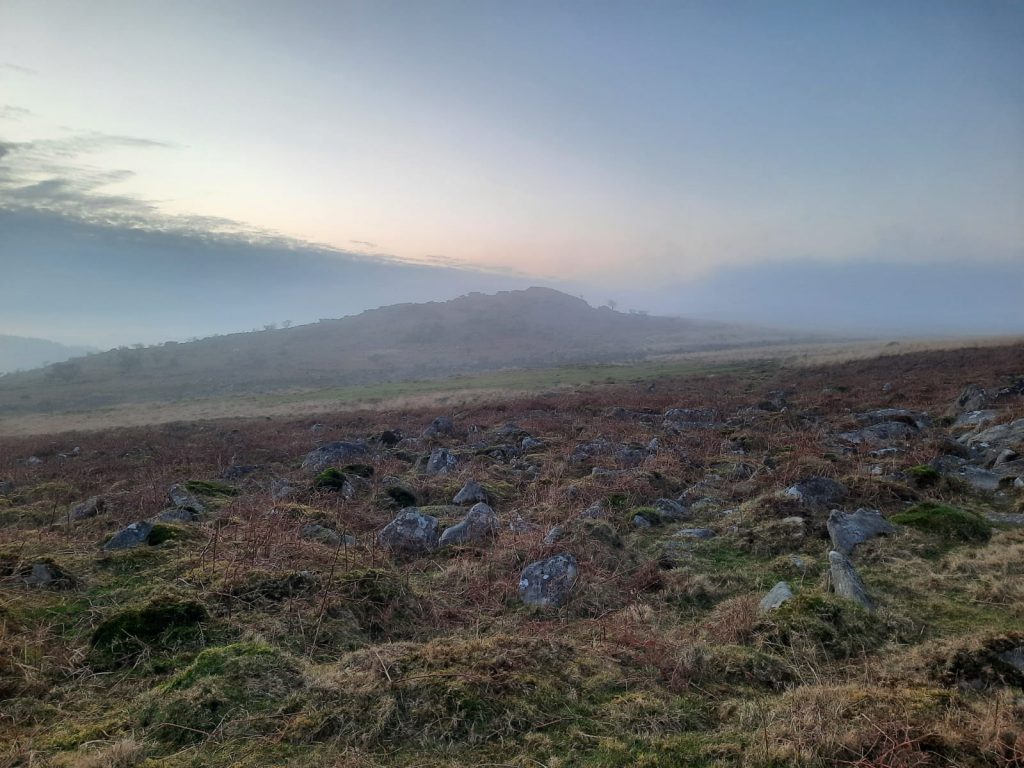 9. Copythorne Rushes b