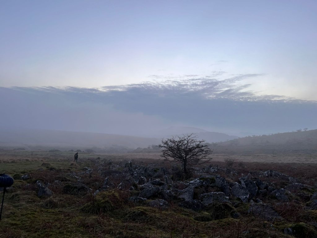 9. Copythorne Rushes c