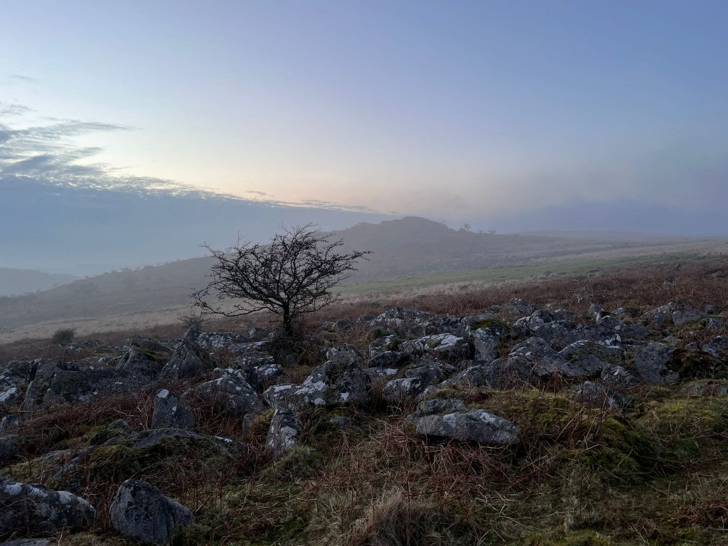 9. Copythorne Rushes d