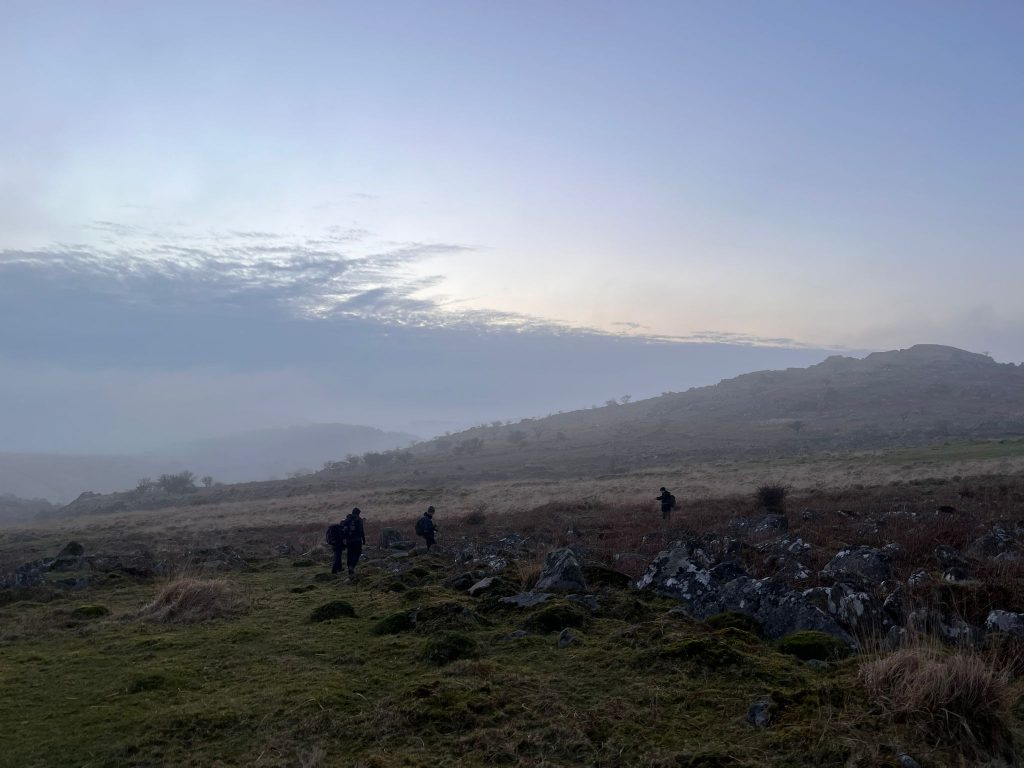 9. Copythorne Rushes e