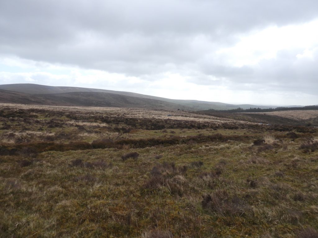 9. Openwork A (west)