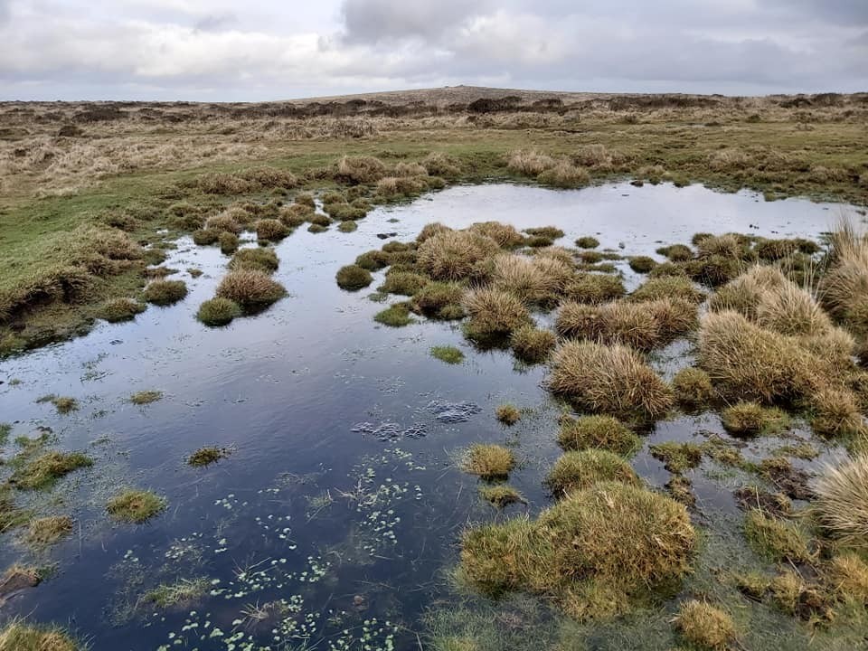 9. Weatherdon Sacred Pool