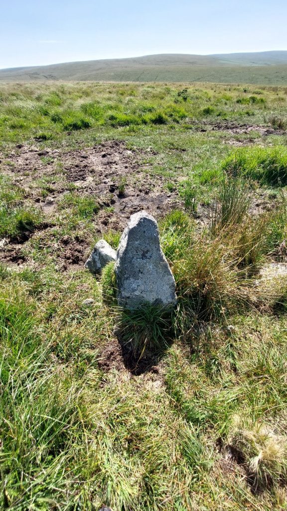 9b. Upright by Footbridge