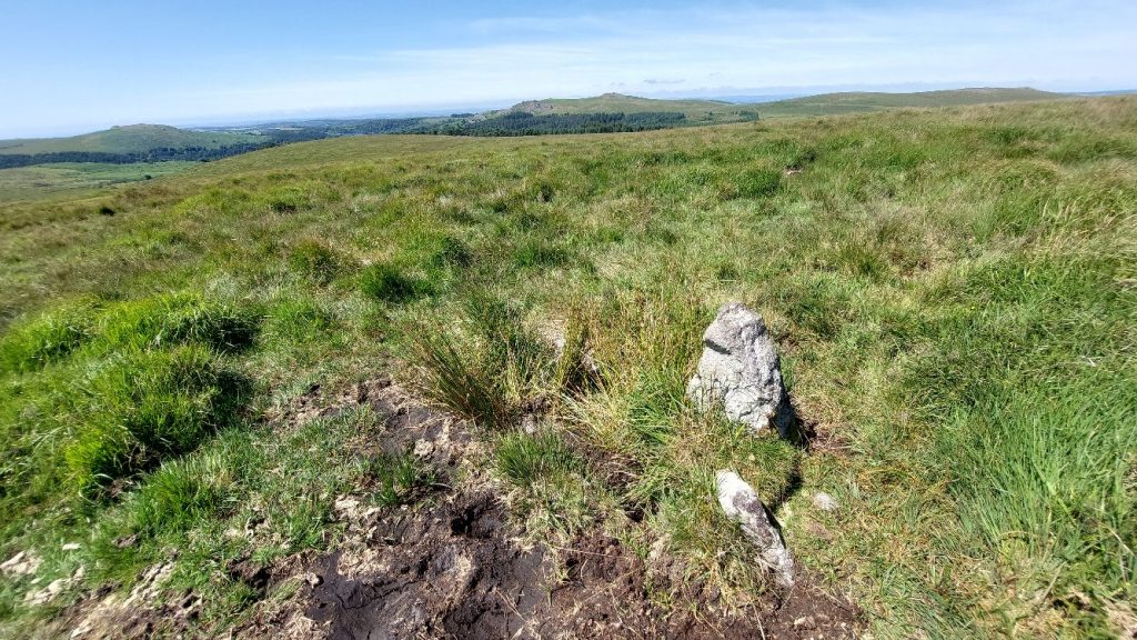 9c. Upright by Footbridge