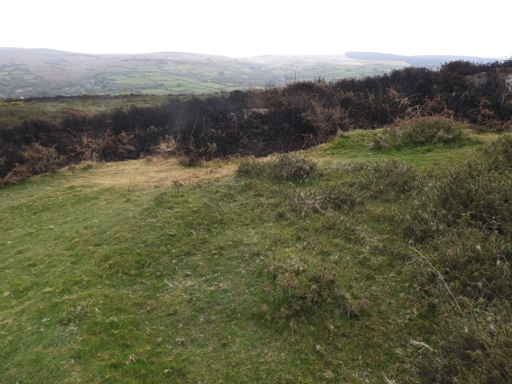 10a. 2nd Green SX69735 86044