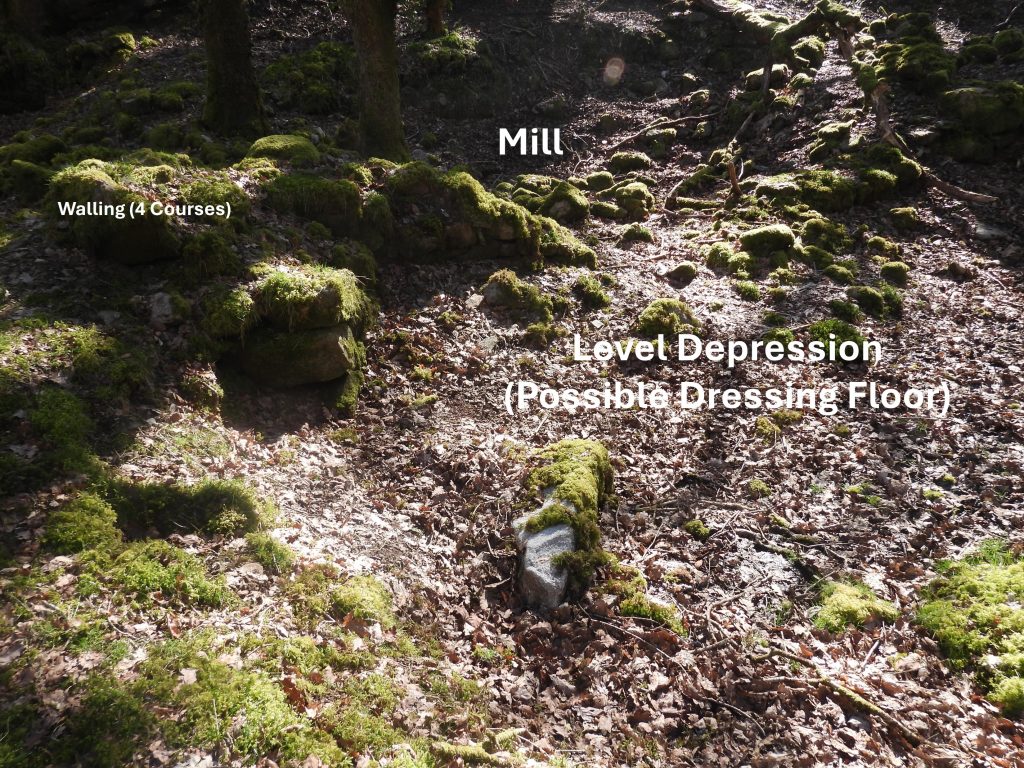 10a. Level Depression and Mill with 4 courses of walling